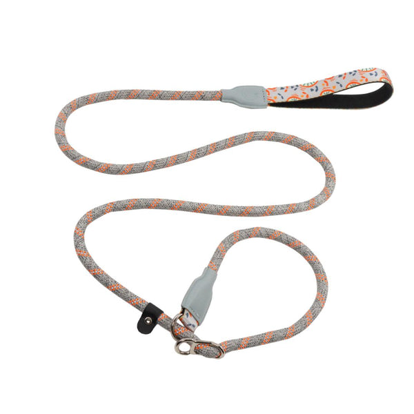 Pumpkin Slip Leash for Pets