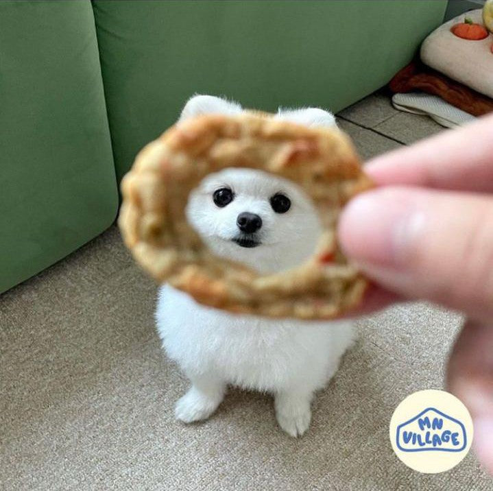 Balance Donut (Veggie & Pumpkin) For Dog