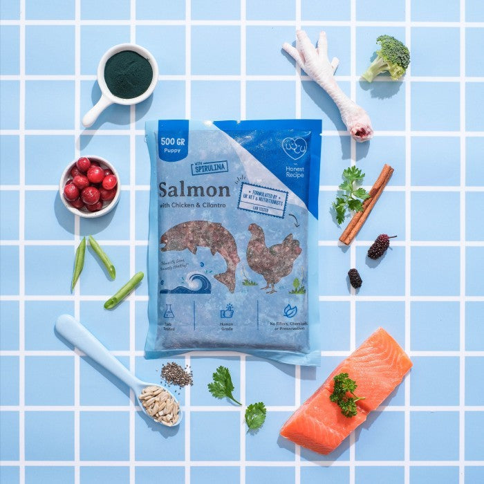 Salmon with Chicken and Cilantro Raw Dog Food