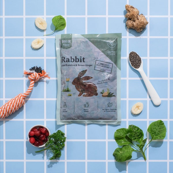 Rabbit Romaine & Brown Ginger Raw Dog Food - Puppy