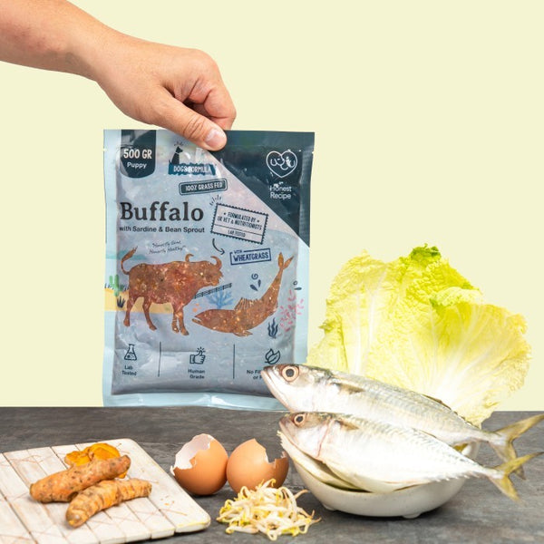 Buffalo With Sardine & Bean Sprout Raw Dog Food - Puppy