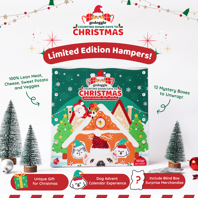 Christmas Advent Calendar Dog Treats