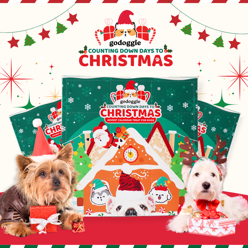 Christmas Advent Calendar Dog Treats