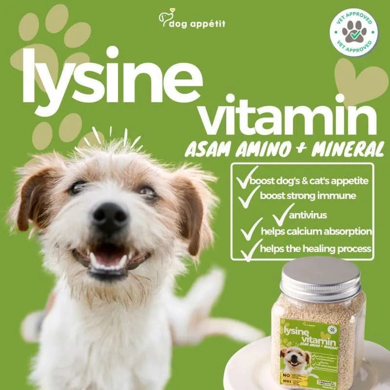 Lysine Vitamin Immune For Dog & Cats