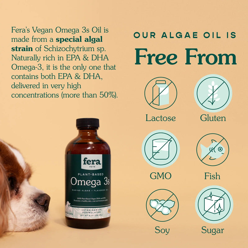 Vegan Omega 3 Alga Oil For Dog And Cats