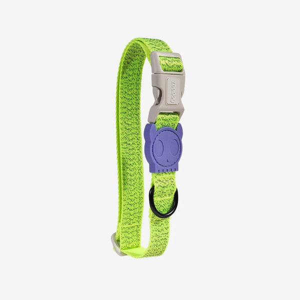 Nox Lumen Dog Collar