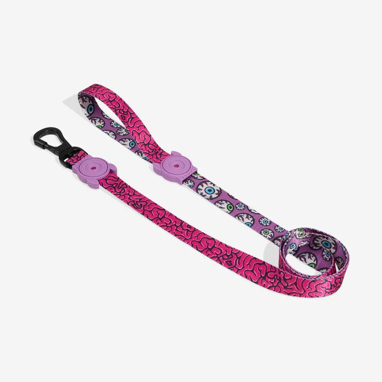 Brain Regular Dog Leash