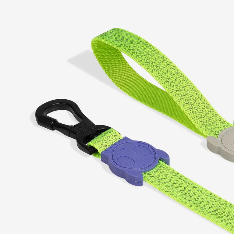 Nox Lumen Dog Leash