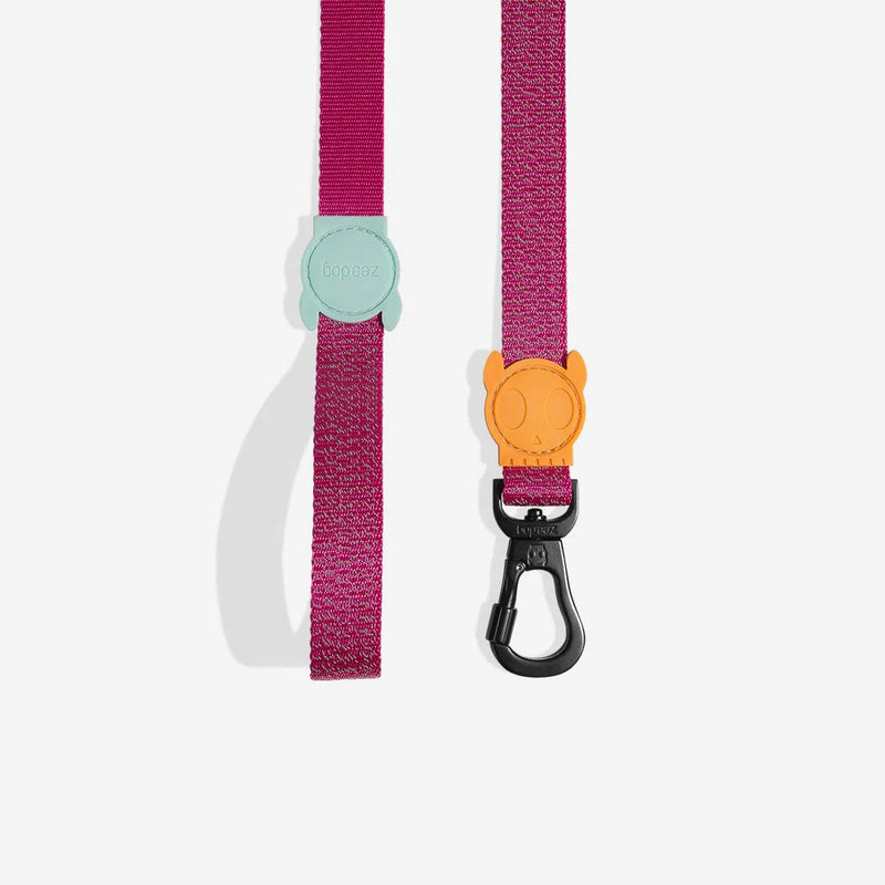 Nox Sidus Dog Leash