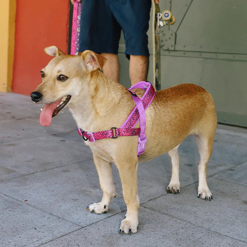 Brain Softer Walk Harness