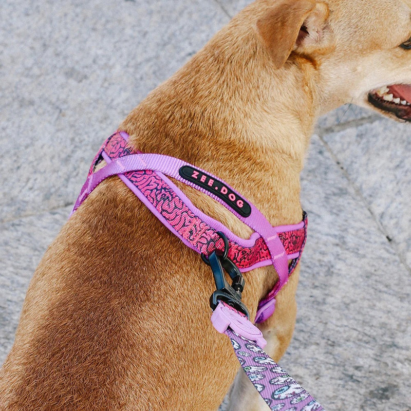 Brain Softer Walk Harness