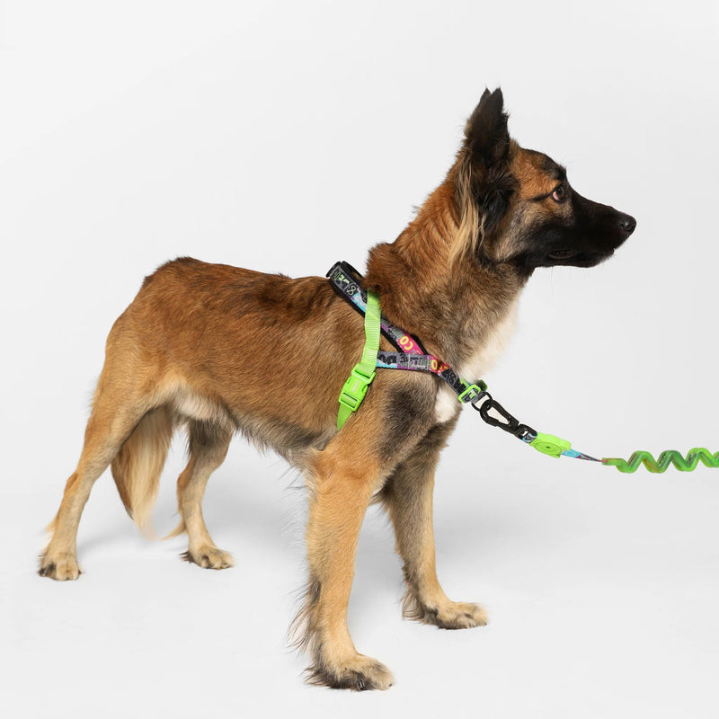 Manifesto Softer Walk Harness