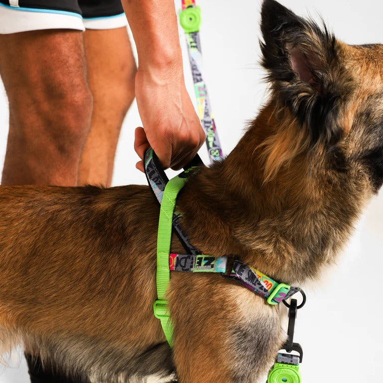 Manifesto Softer Walk Harness