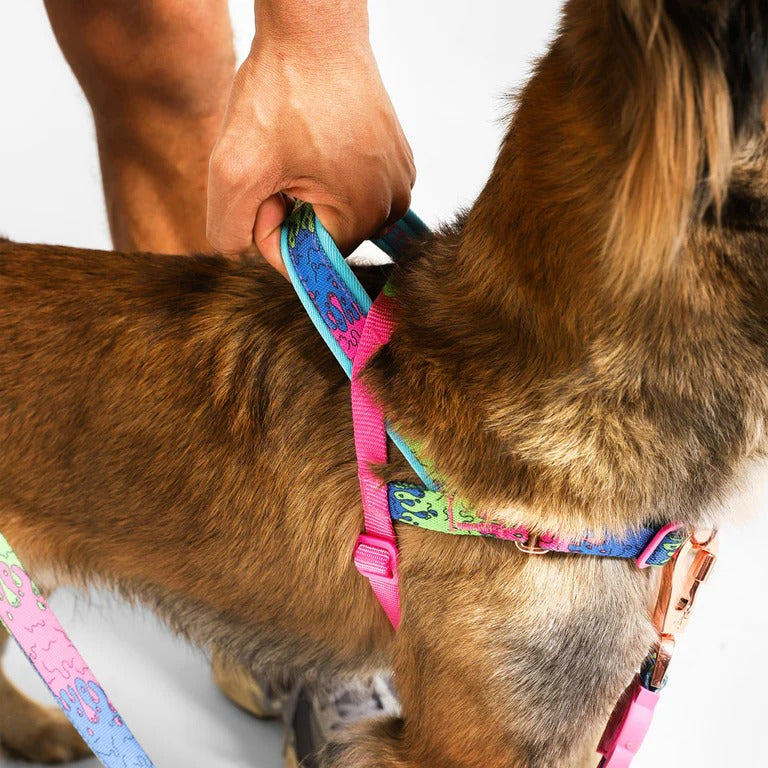 Melted Softer Walk Harness