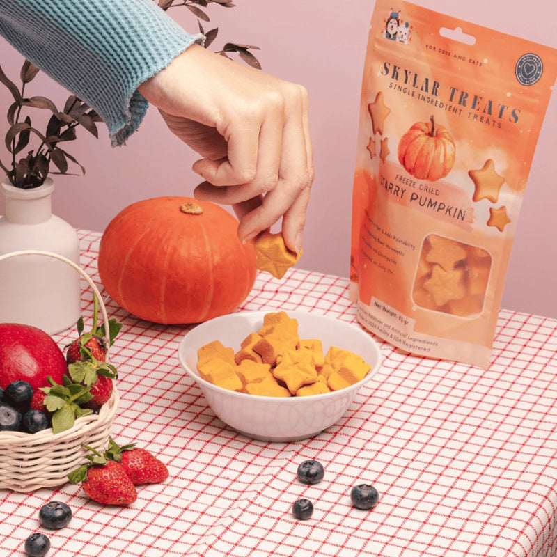 Freeze Dried Starry Pumpkin Dog & Cat Treats