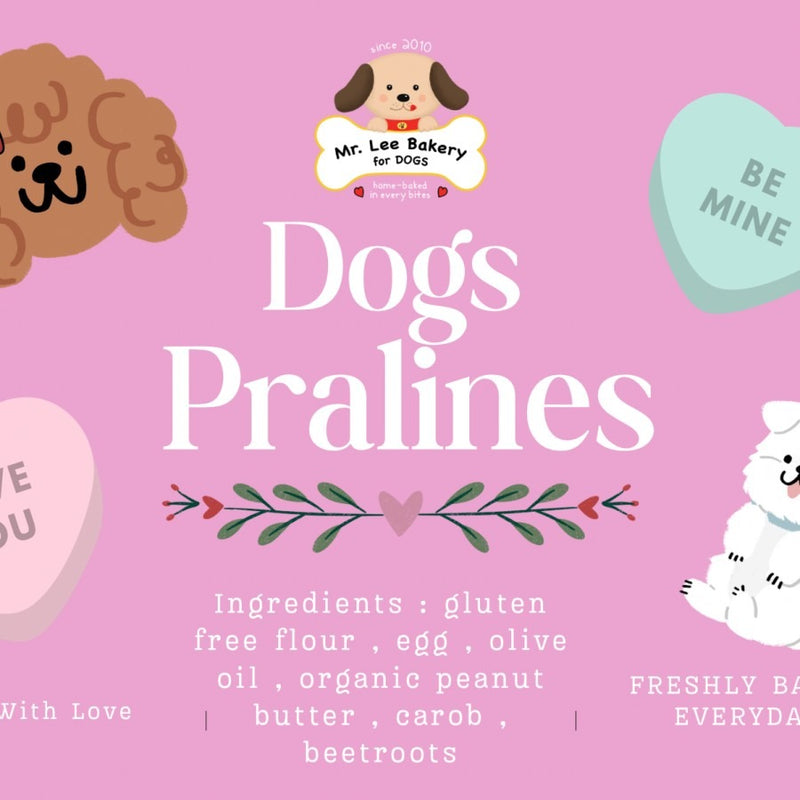 Dogs Pralines valentine dog treats