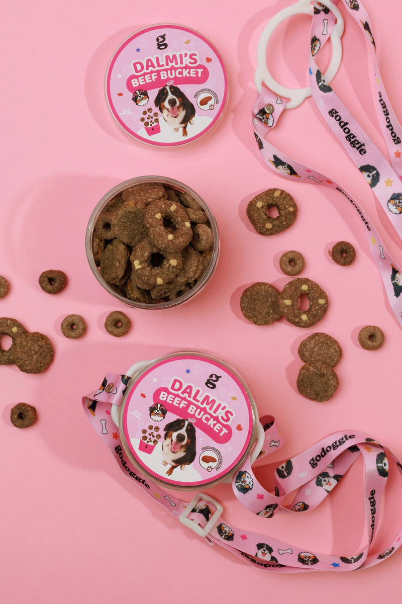 Dalmi's Beef Bucket Dog Treats