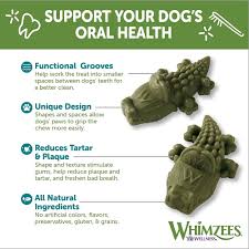 Alligator Dental Dog Chew Treats Value Bag