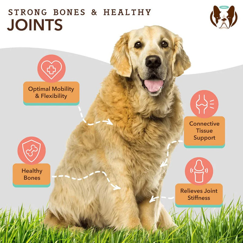 Hip & Joint Dog Supplement 90 tabs