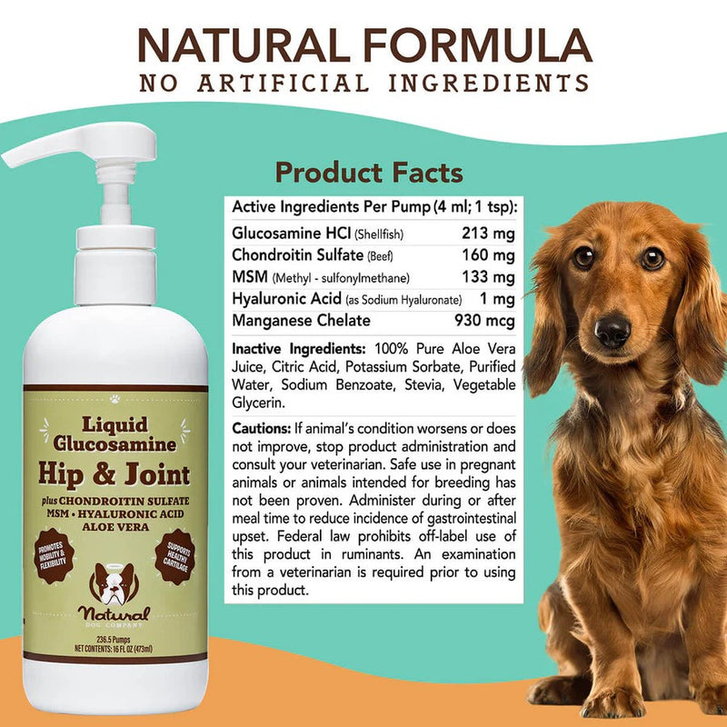 Hip & Joint Liquid Glucosamine For Dogs - 16oz