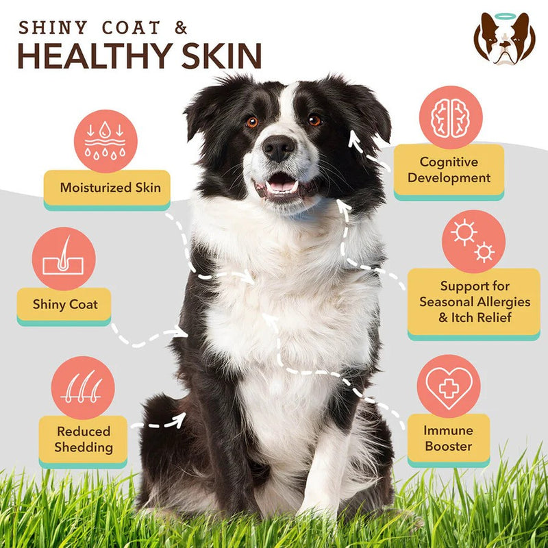 High Omega 3 Skin & Coat Oil For Dogs - 16oz