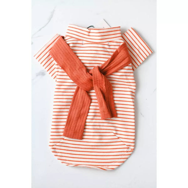 Orange Striped Top Shirt Clothes