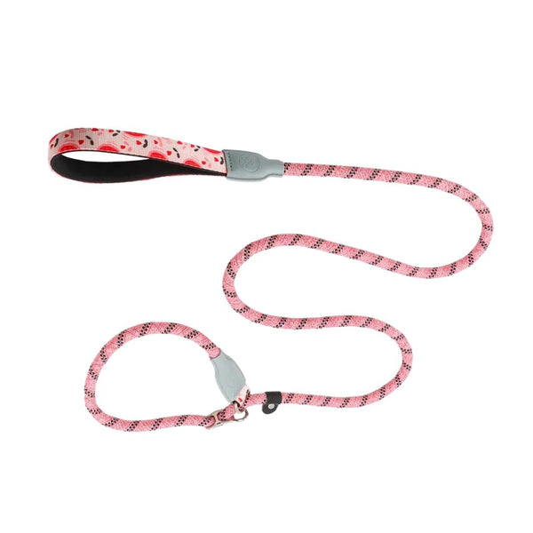 Bubblegum Slip Leash for Pets