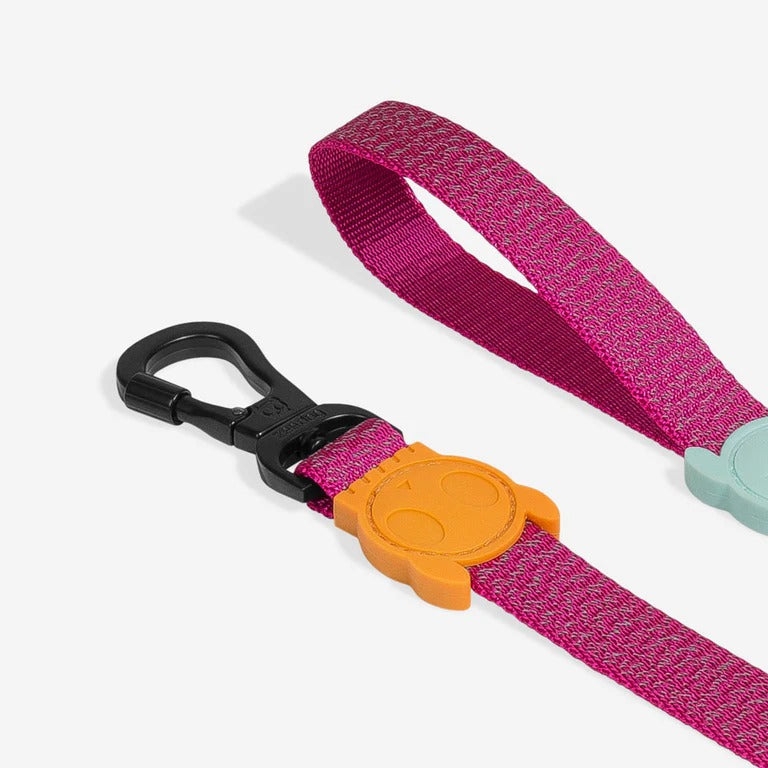 Nox Sidus Dog Leash