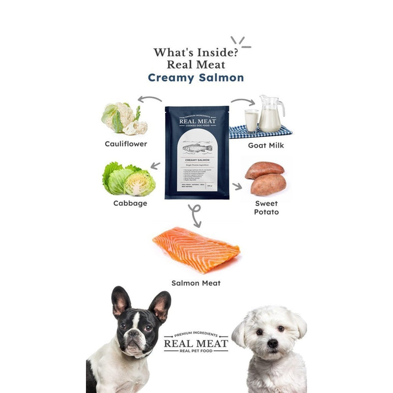 Creamy Salmon Cooked Dog Food