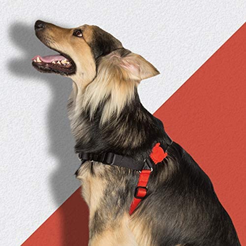 Fatboy Soft-Walk Harness