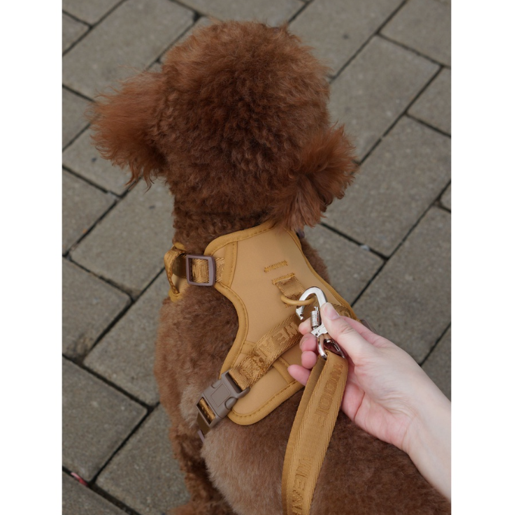 Wear Woof Brown Harness