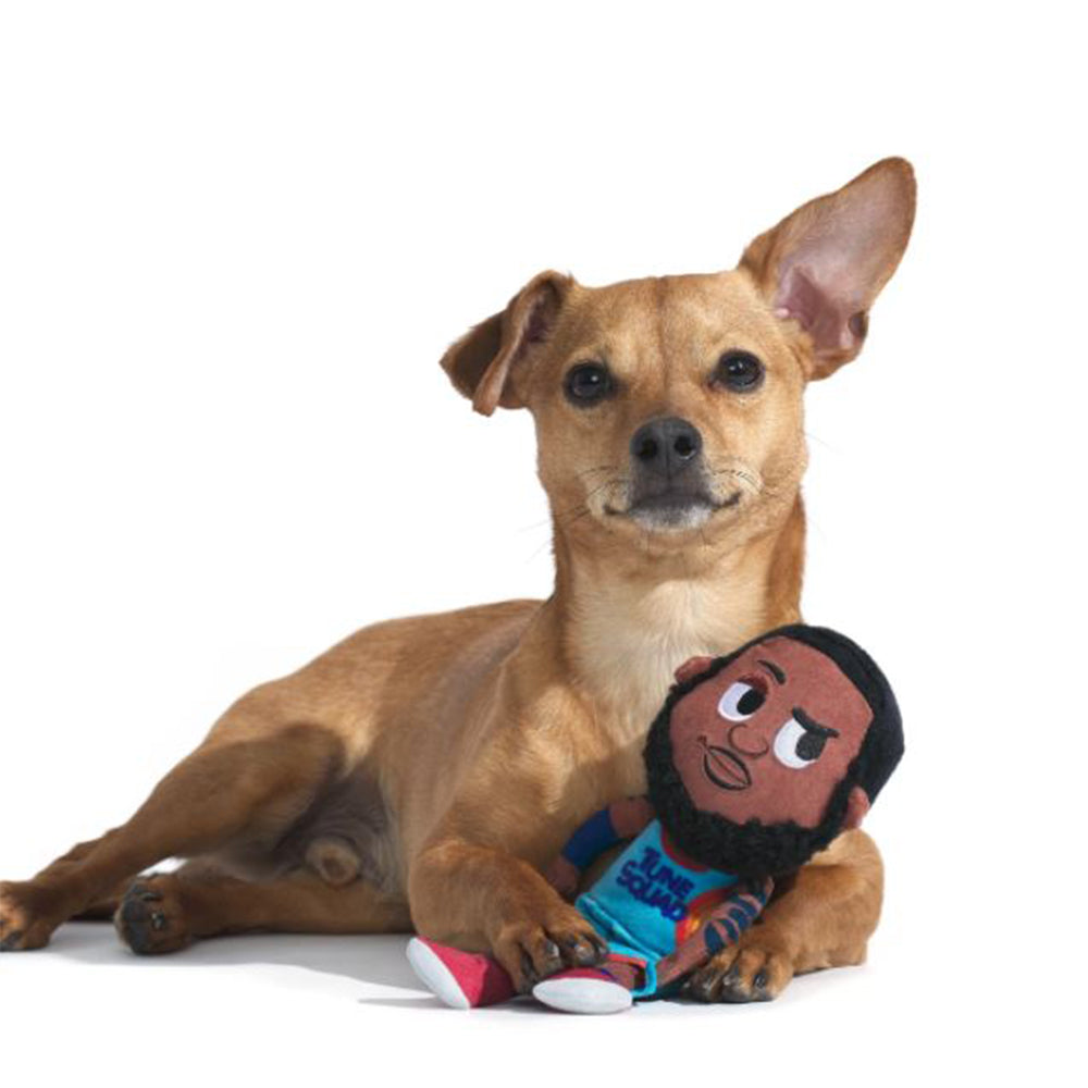 LeBron James Dog Toy