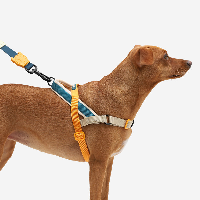 Voyage Softer Walk Harness