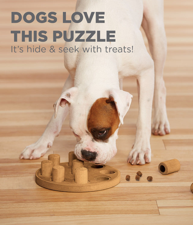 Outward Hound Nina Ottosson Dog Hide N' Slide Tan Interactive Treat Puzzle  Dog Toy